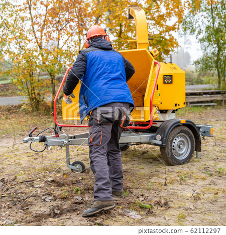 cleaning the forest and chipping branches using a special machine cleaning the forest and chipping branches using a special machine 62112297