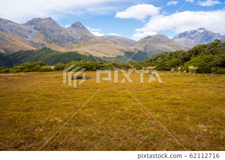 Key Summit Track Key Summit Track Routeburn Track Routeburn Key Summit Track Key Summit Track Routeburn Track Routeburn 62112716