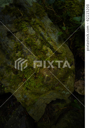 Mossa Mossa 62115208