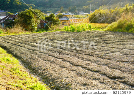 田野蔬菜鄉村農民 田野蔬菜鄉村農民 62115979