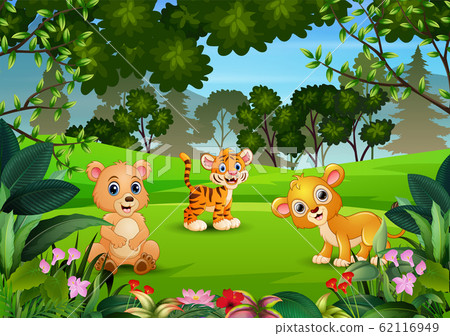 Wild animal playing in the jungle Wild animal playing in the jungle 62116949