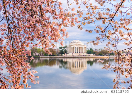Washington, DC at the Tidal Basin and Jefferson Washington, DC at the Tidal Basin and Jefferson 62118795