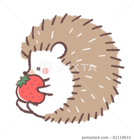 Strawberry hedgehog 62119633