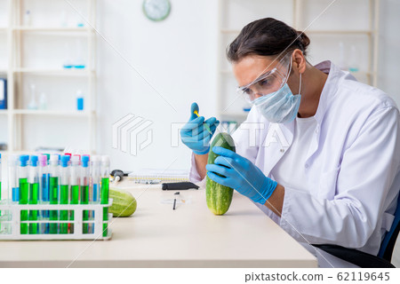 Male nutrition expert testing vegetables in lab Male nutrition expert testing vegetables in lab 62119645
