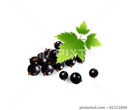 Set of realistic ripe berryes on a white background.The berryes for advertising,labels,organic agriculture symbol. Set of realistic ripe berryes on a white background.The berryes for advertising,labels,organic agriculture symbol. 62121609