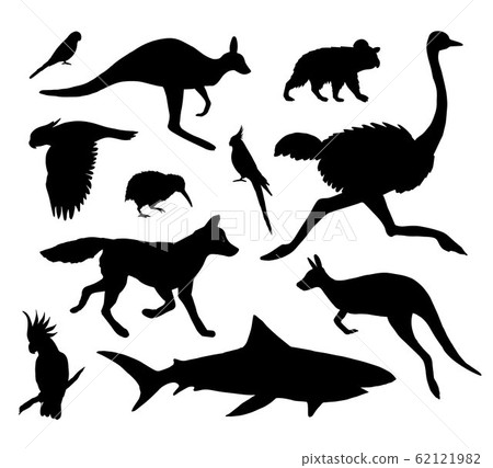 Vector setof black Australia animals silhouette 62121982