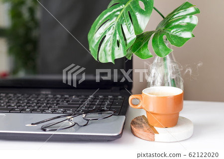 Still-life portrait of computer, coffee mug on table and plants in bright environment. 62122020
