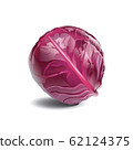 Red cabbage isolated on white background 62124375