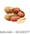a handful of peanuts in the shell and without shell on a white background 62124377