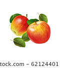 Red ripe apple with green leaves on the white background 62124401