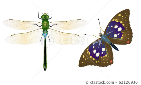 銀杏馬和大村崎 銀杏馬和大村崎 62126930