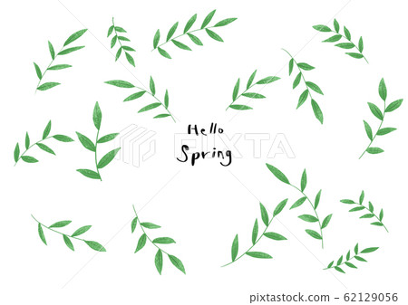 Abstract leaves illustration 62129056