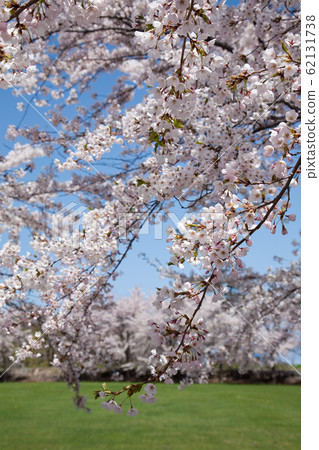 Hokkaido Meiwa Shrine 62131738