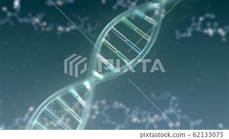DNA gene chromosome double helix biomedical science 62133075