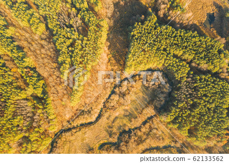 Aerial View Green Forest In Deforestation Area Landscape. Top View Of Woods. European Nature From High Attitude In Autumn Season. Drone View. Bird's Eye View Aerial View Green Forest In Deforestation Area Landscape. Top View Of Woods. European Nature From High Attitude In Autumn Season. Drone View. Bird's Eye View 62133562