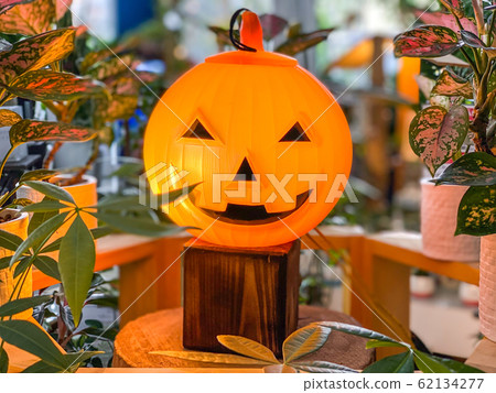 Pumpkin jack o lantern surrounded by plants for Halloween decoration Pumpkin jack o lantern surrounded by plants for Halloween decoration 62134277