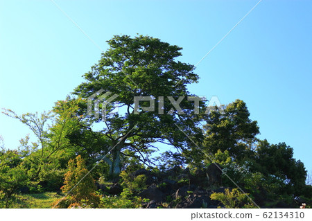 和順海角Jawal,森林,森林,徑,步行, 和順海角Jawal,森林,森林,徑,步行, 62134310