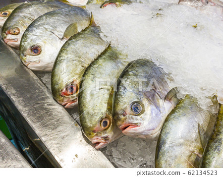 Frozen fish on the ice at seafood stall in supermarket 62134523