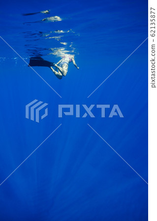 在小gas原海游泳的女人 62135877