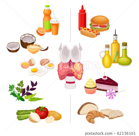 Thyroid Nutrition Vector Set. Good and Bad Food with Thyroid Organ in the Middle Thyroid Nutrition Vector Set. Good and Bad Food with Thyroid Organ in the Middle 62136101