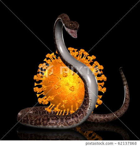 Coronavirus (COVID-19) carrier 2 62137868