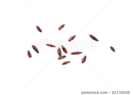 Statice seeds 62138086