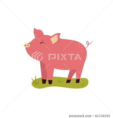 One happy young piglet on a lane One happy young piglet on a lane 62138391