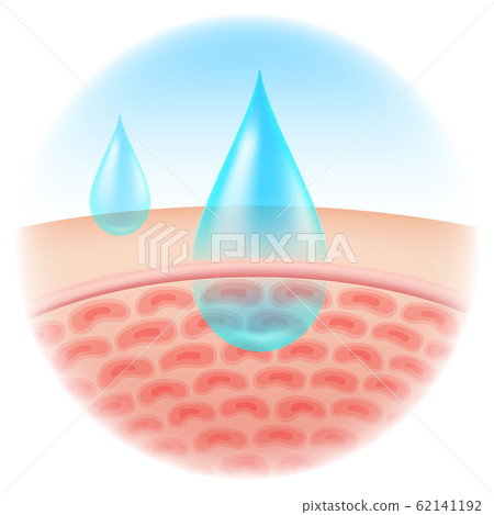 Shows the moisture absorbed into the skin, cosmetic type, lotion, cream, serum. Vector Realistic file. 62141192