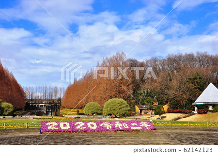 神奈川縣相模原公園法國花園和水杉樹 62142123