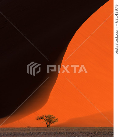 Beautiful landscape with red huge sand dunes and and lonely tree at sunset in desert. Sossusvlei, Namib Naukluft National Park, Namibia. Stunning natural geometry without people Beautiful landscape with red huge sand dunes and and lonely tree at sunset in desert. Sossusvlei, Namib Naukluft National Park, Namibia. Stunning natural geometry without people 62142979