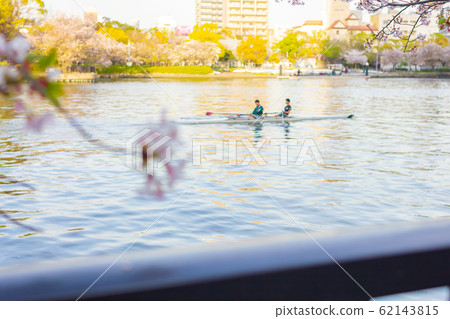 從池馬櫻宮公園橋上看到的櫻花 62143815