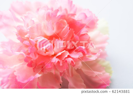 康乃馨(人造花) 康乃馨(人造花) 62143881