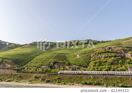 Vineyards on slopes of  Bopparder Hamm, Rhine Valley, Germany  62144133