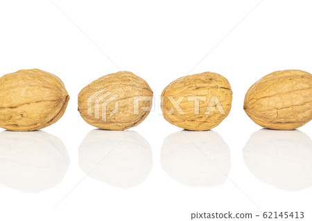 Brown tasty walnut isolated on white Brown tasty walnut isolated on white 62145413