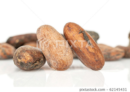 Brown cocoa bean isolated on white Brown cocoa bean isolated on white 62145431