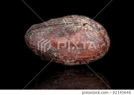 Brown cocoa bean isolated on black glass Brown cocoa bean isolated on black glass 62145648