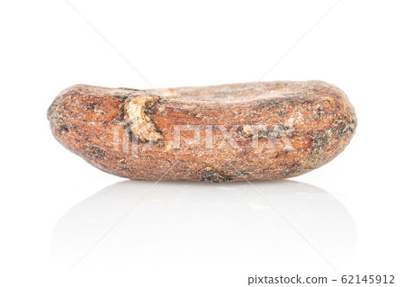 Brown cocoa bean isolated on white Brown cocoa bean isolated on white 62145912