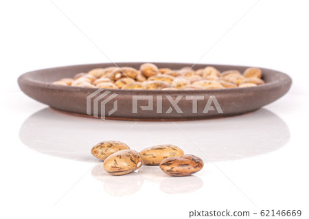 Pinto brown bean isolated on white Pinto brown bean isolated on white 62146669