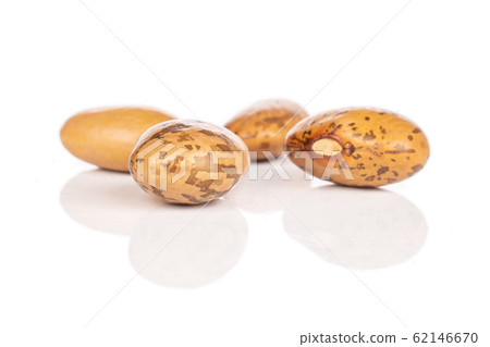 Pinto brown bean isolated on white 62146670
