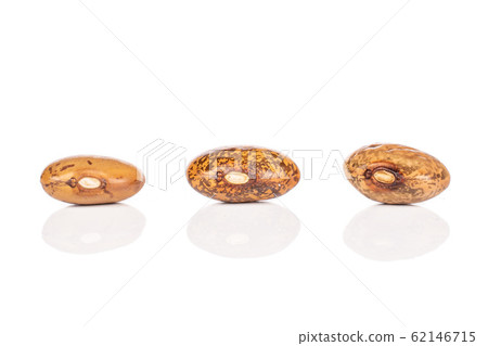 Pinto brown bean isolated on white Pinto brown bean isolated on white 62146715