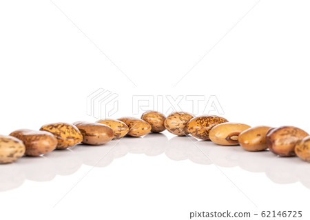 Pinto brown bean isolated on white Pinto brown bean isolated on white 62146725