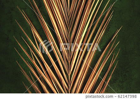closeup of golden palm leaf on green background closeup of golden palm leaf on green background 62147398