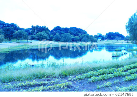 Color Transparent Flow In a river (registered in February 2020) Maximum size: L Color Transparent Flow In a river (registered in February 2020) Maximum size: L 62147695