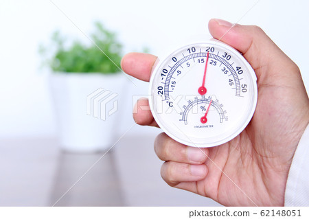 樹葉植物調節濕度 樹葉植物調節濕度 62148051