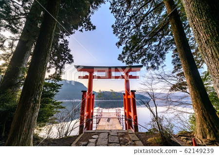 箱根神社和平鳥居清晨 箱根神社和平鳥居清晨 62149239