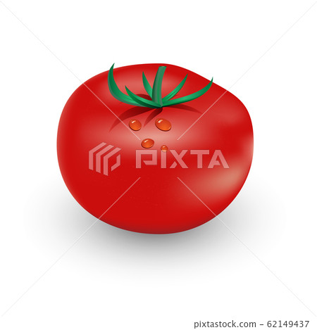 tomato on white background tomato on white background 62149437