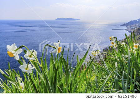 Nada Kuroiwa Water Sengoku Nada Kuroiwa Water Sengoku 62151496