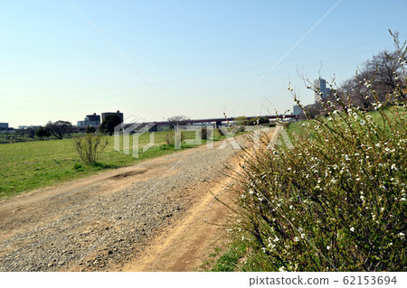 多摩河河床新多摩河橋區 多摩河河床新多摩河橋區 62153694