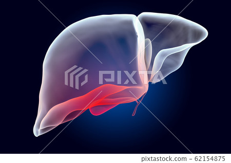 Pain in Liver or Gallbladder concept 62154875