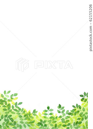 Background _ watercolor treetop _ postcard vertical 62155206